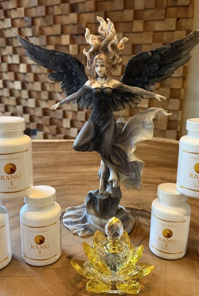 RANU 3-Phase System — botanical gut health supplement